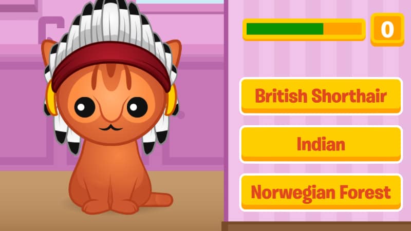 screenshot walkthrough